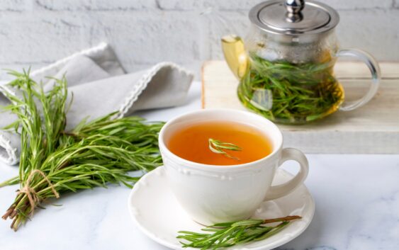 Cup of healthy rosemary tea with fresh rosemary bunch winter herbal hot drink concept,