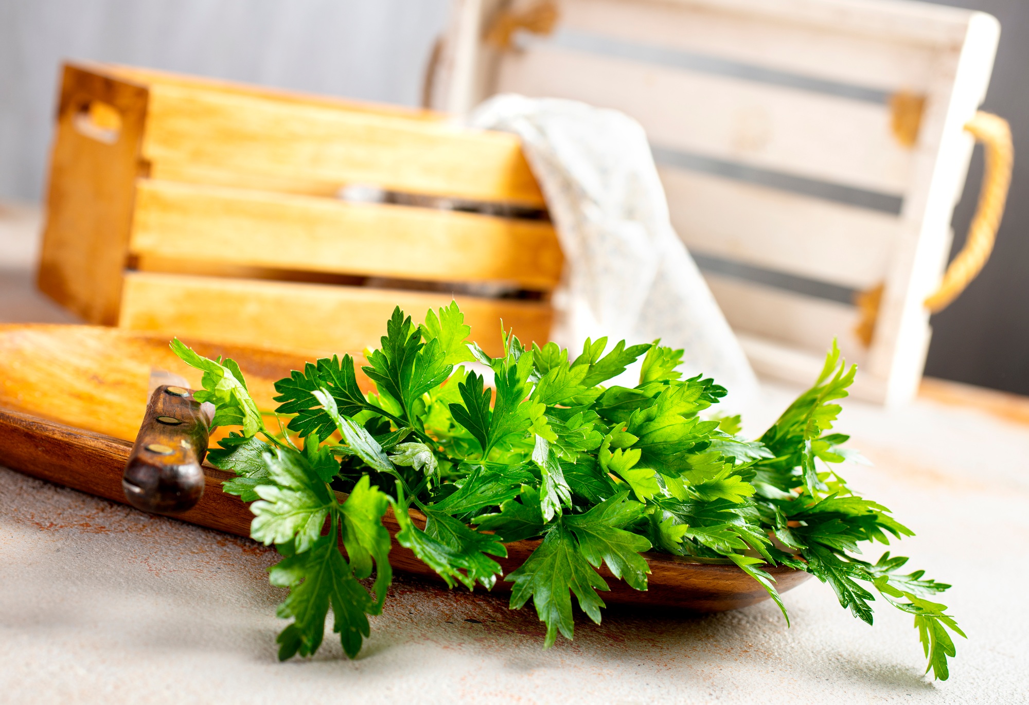 parsley