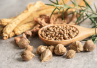 Tension basse : remède de grand-mère à base de plantes pour stimuler l’énergie Tension basse : remède de grand-mère à base de plantes pour stimuler l’énergie