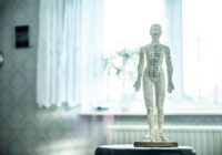 Périménopause et Ostéopathie : Comment soulager naturellement les douleurs Musculo-Squelettiques ?
