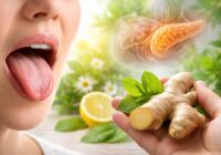 Goût amer dans la bouche et pancréas : Une exploration des remèdes naturels Goût amer dans la bouche et pancréas : Une exploration des remèdes naturels