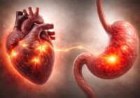 Les effets des extrasystoles dues à l’estomac sur votre santé cardiaque Les effets des extrasystoles dues à l’estomac sur votre santé cardiaque
